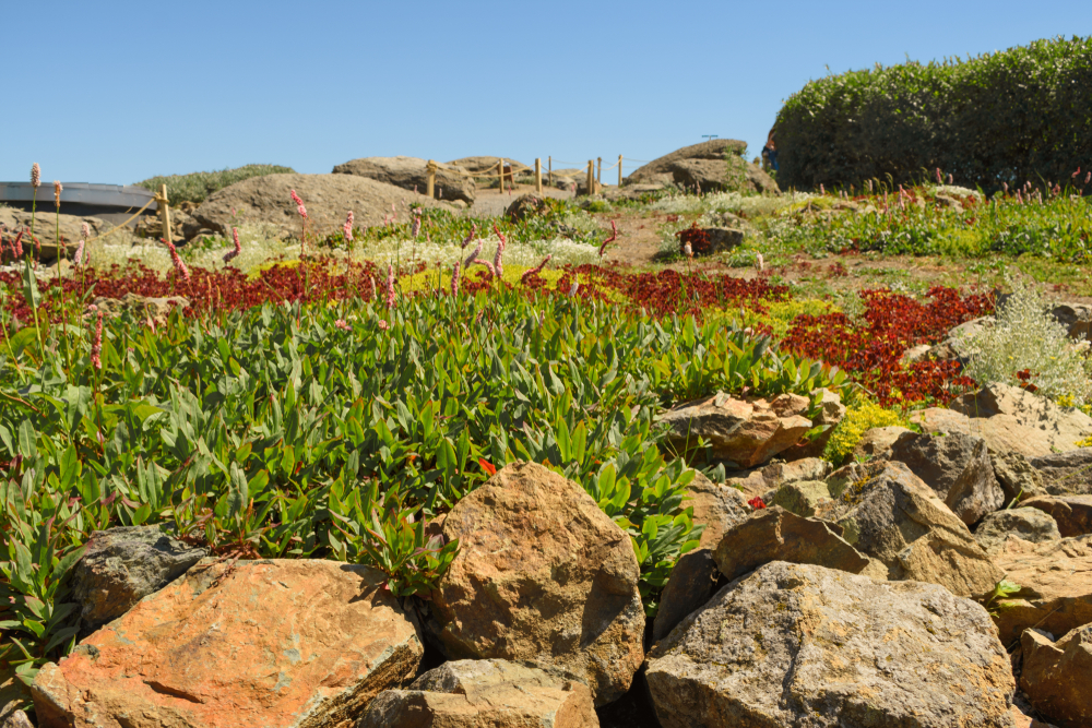 Природные зоны парка Зарядье