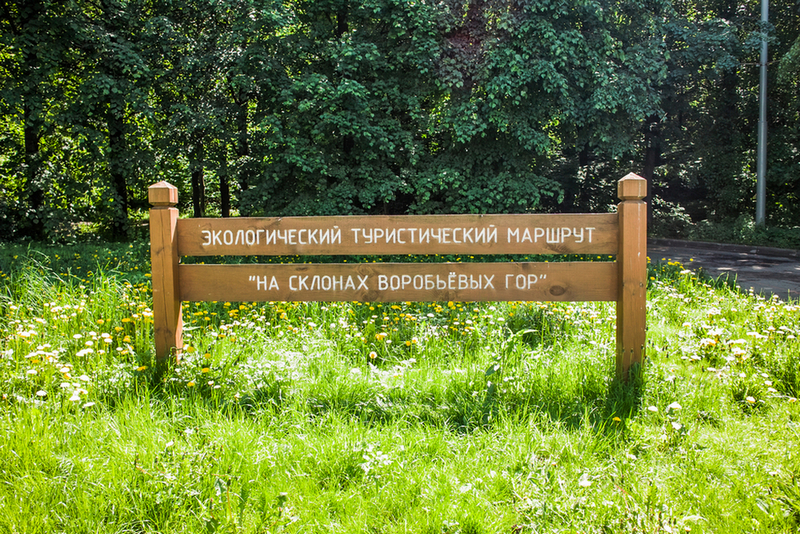 Эко-тропы на Воробьёвых горах