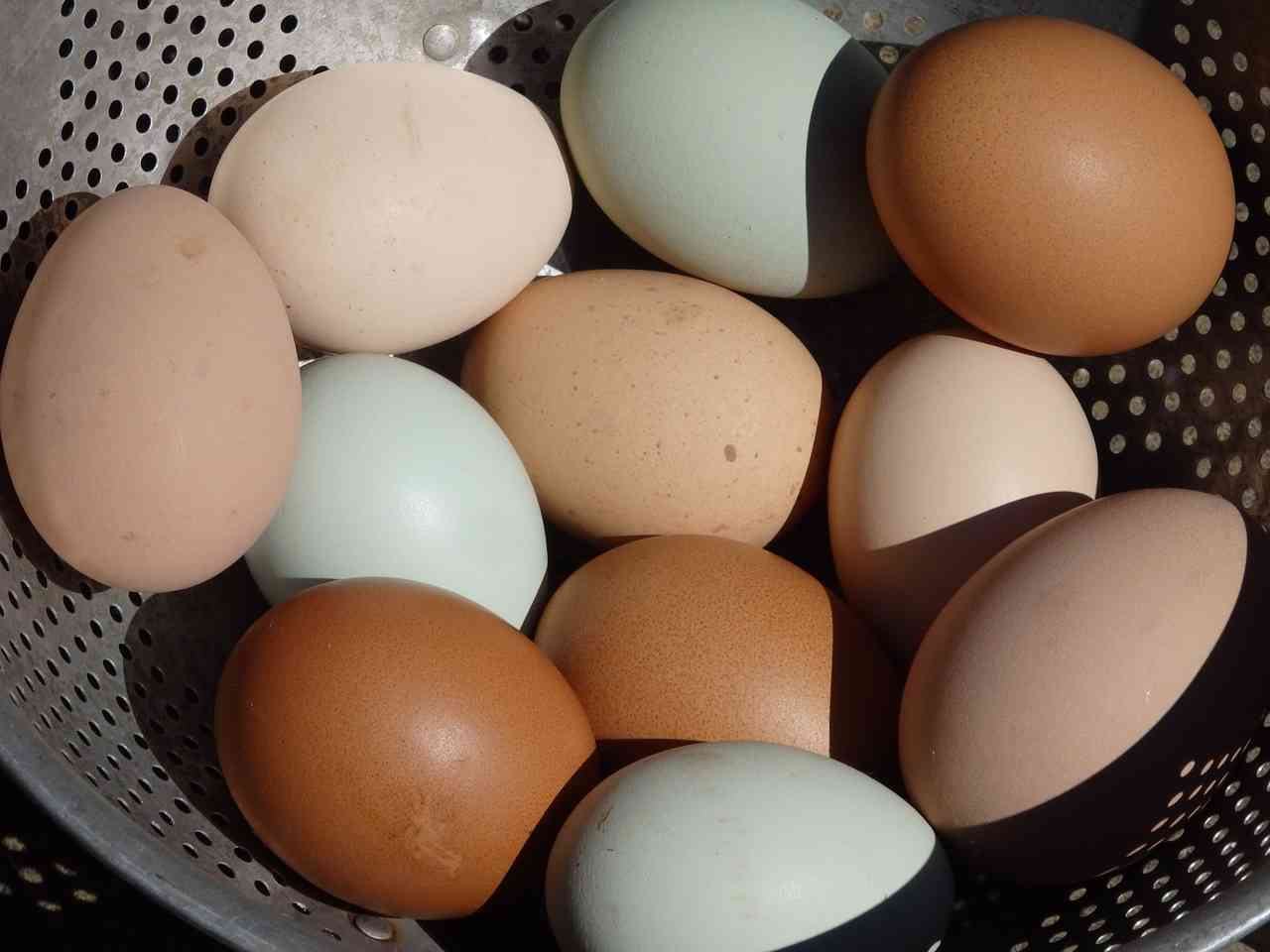 Много яиц разных оттенков в корзине