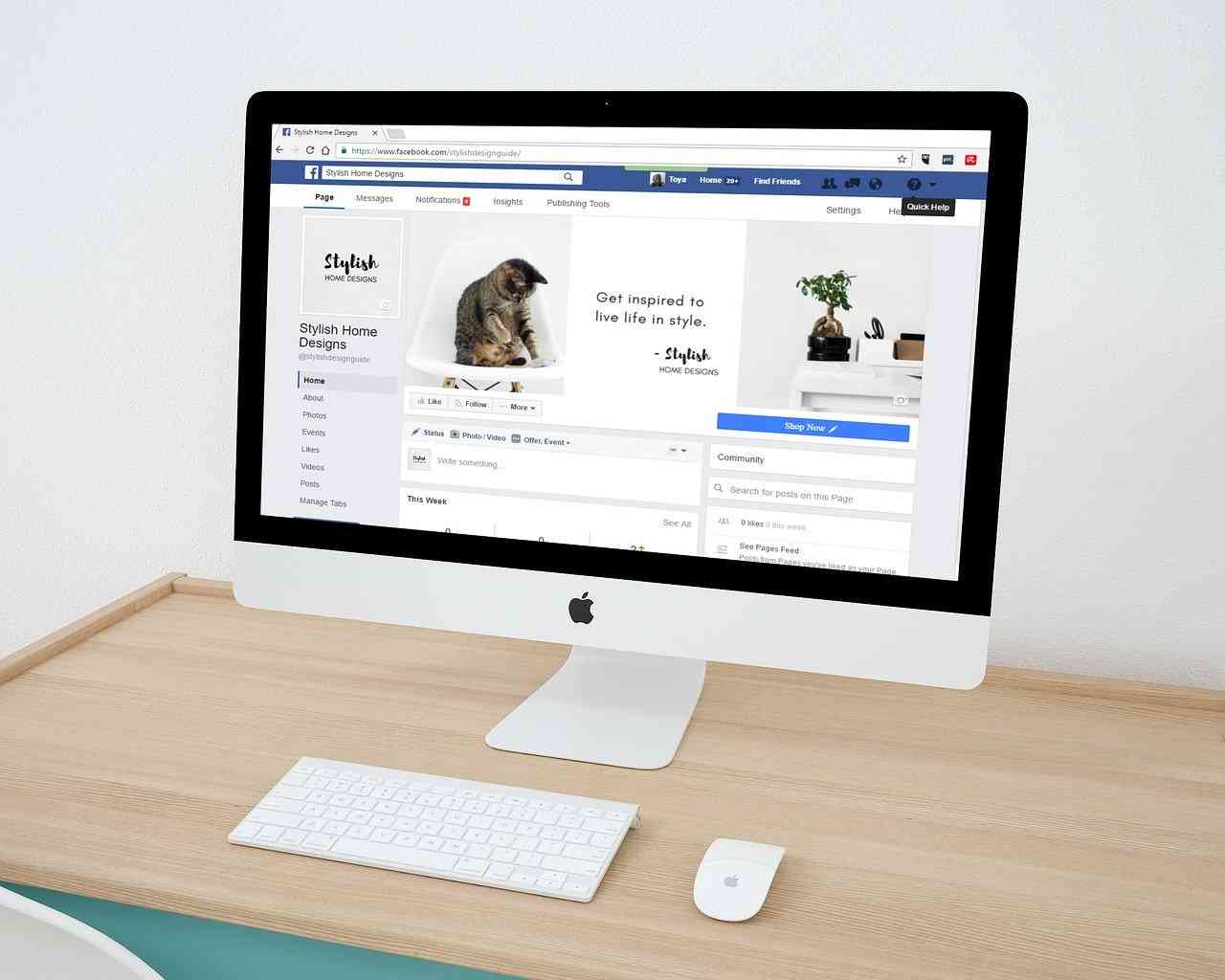 Монитор компьютера с Фейсбуком и кошечками на экране