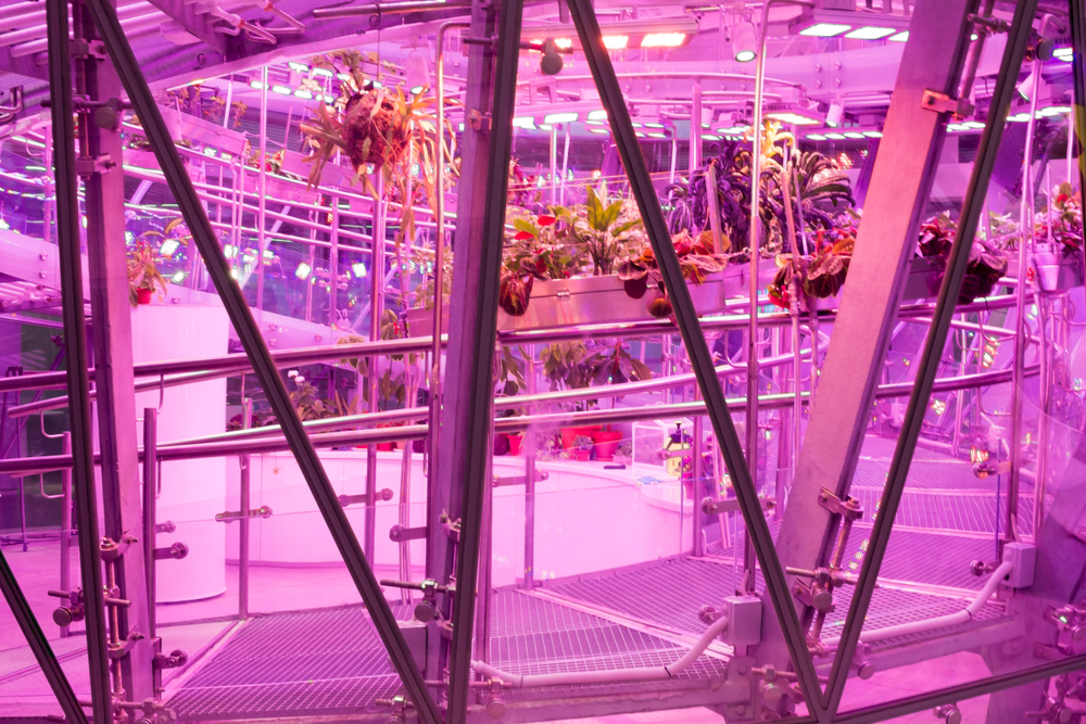 Флорариум в парке Зарядье