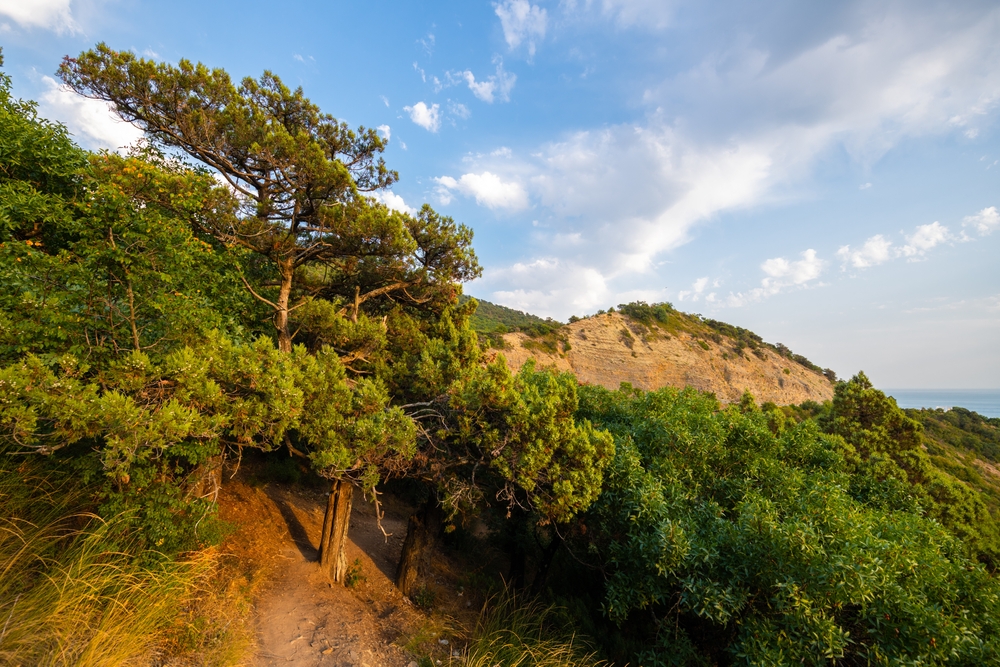 Заповедник Утриш около Сукко на Черном море
