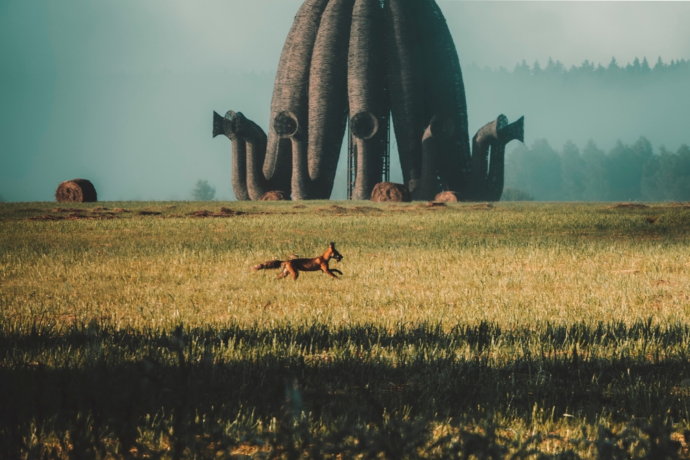 Лиса с добычей в парке Никола Ленивец