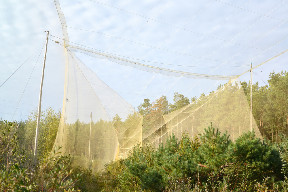 Орнитологическая станция Фрингилла