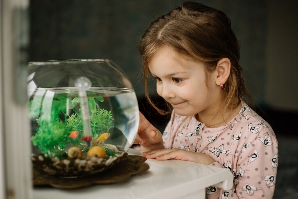 Девочка разглядывает домашний аквариум