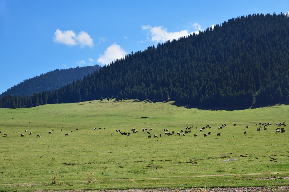 Григорьевское ущелье рядом с озером Иссык-Куль