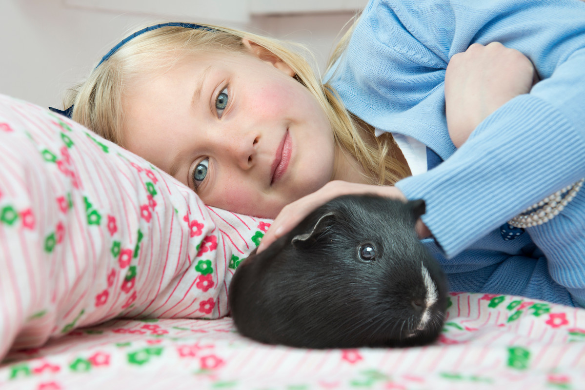 Девочка лежит в кроватке с морской свинкой