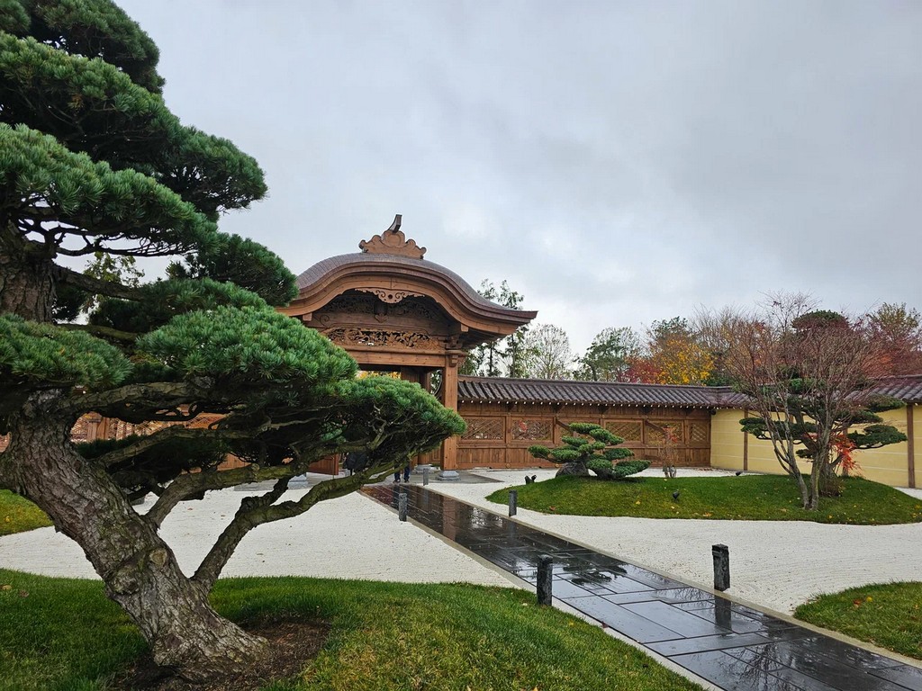 Фото японского сада в парке Галицкого