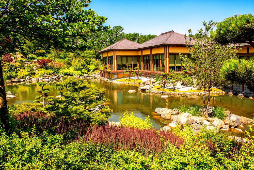 Японский сад в парке Галицкого