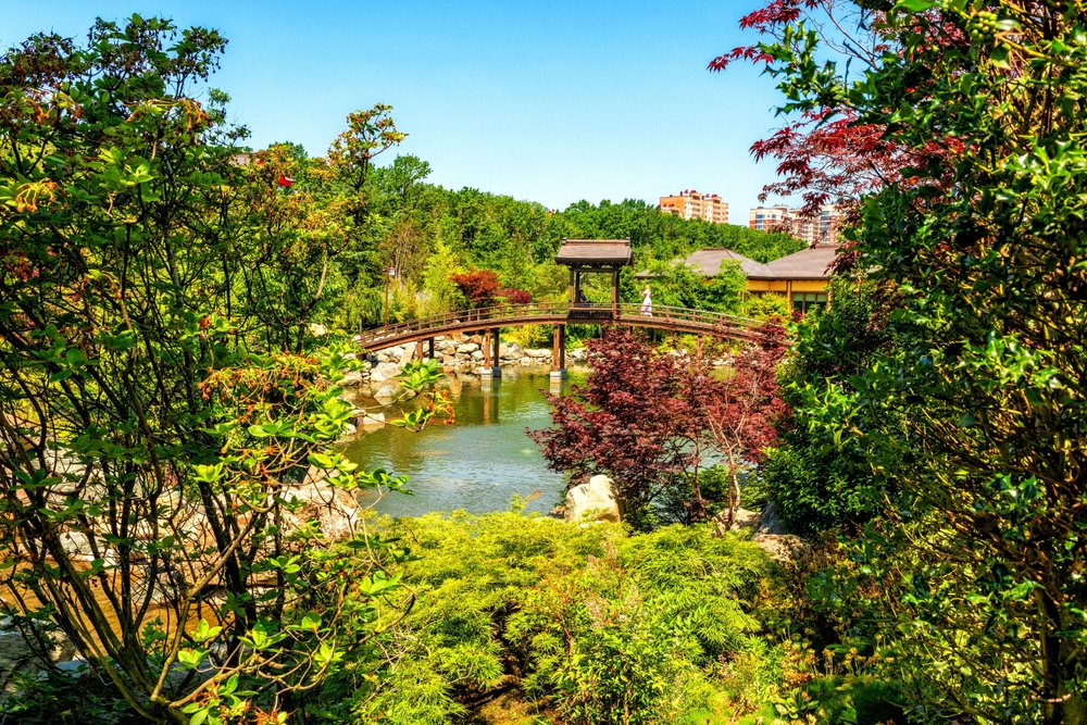 Японский сад в парке Галицкого