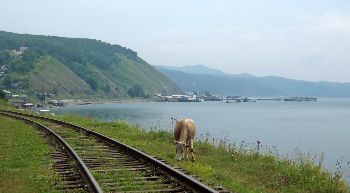 Фото Кругобайкальской железной дороги