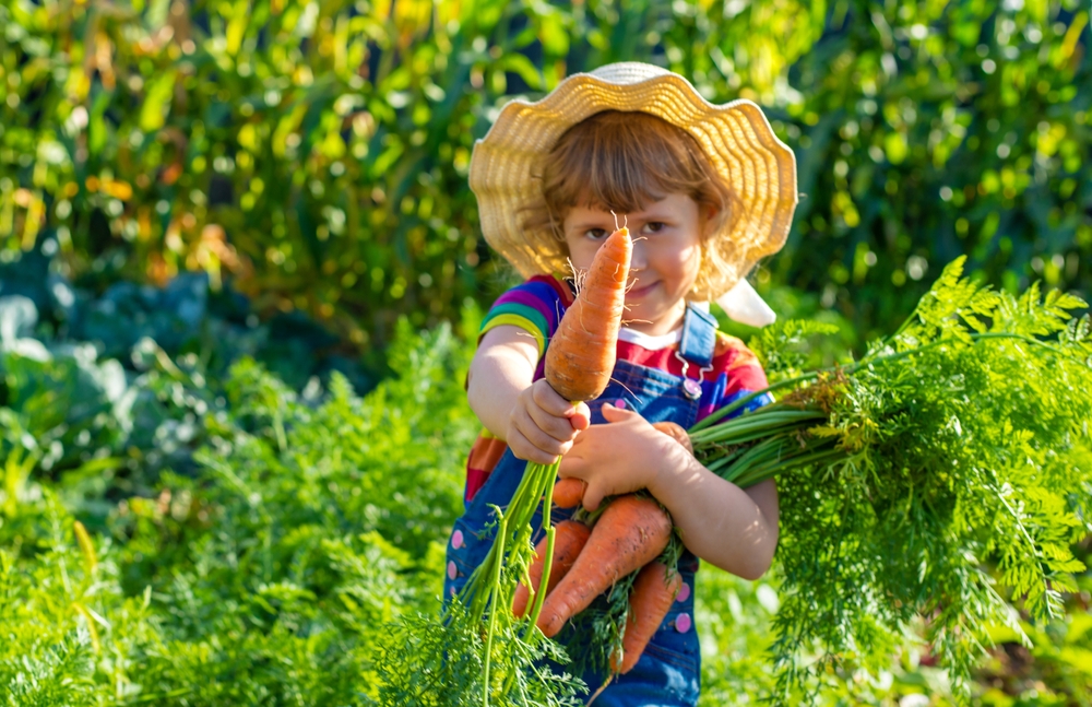 Превращаем «Фу!» в «Можно ещё?»: как приучить школьника есть овощи