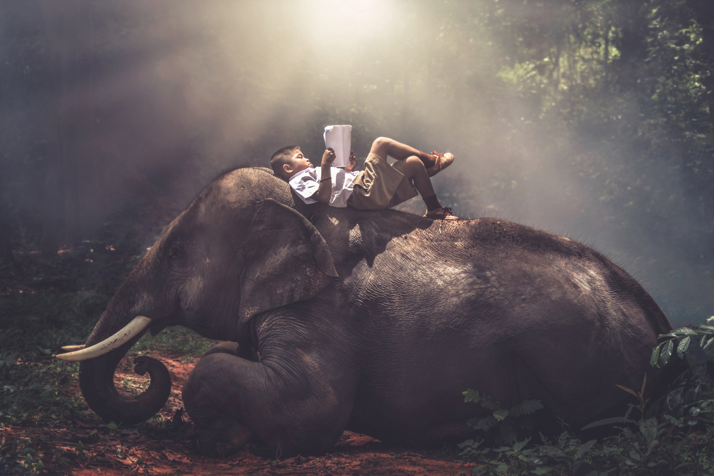 Как привить интерес к книгам, если ребёнок не любит читать?