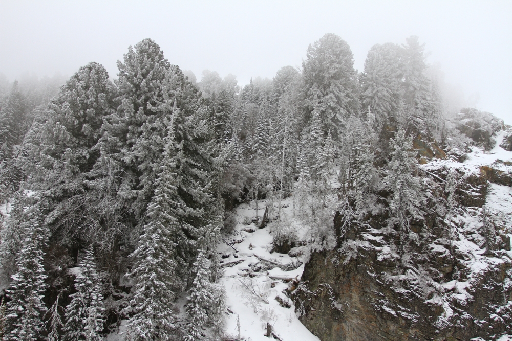 Почему стоит поехать в Манжерок именно зимой