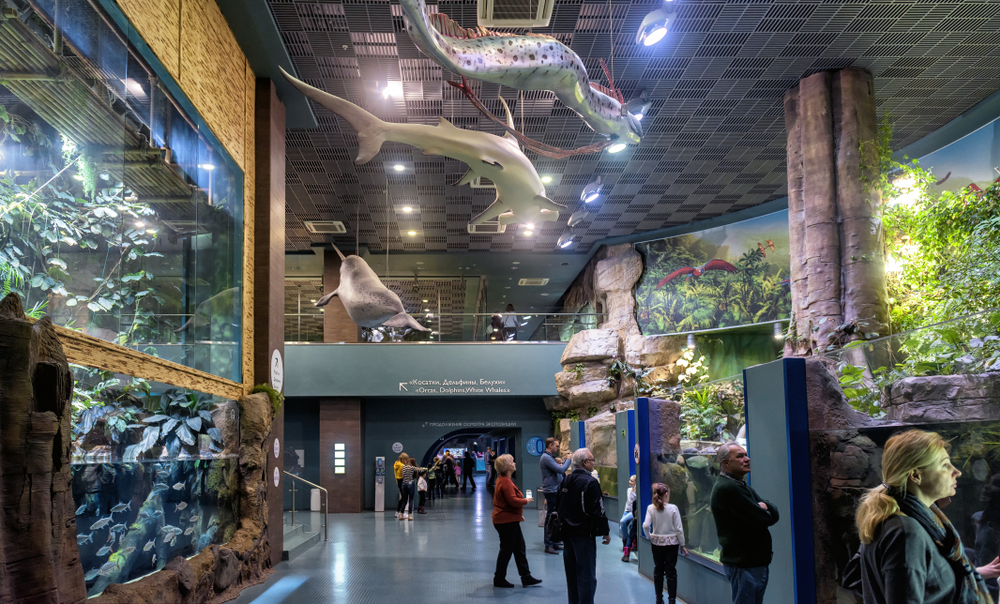Москвариум на ВДНХ - что посетить с детьми