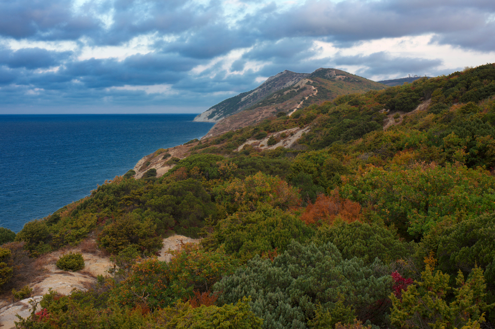 Природа вокруг поселка Сукко на Черном море