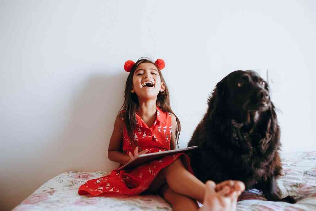Девочка в красном платье сидит на кровати с собакой ньюфаундленд
