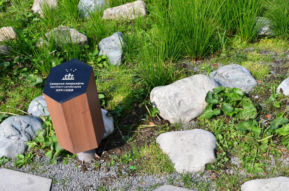 Северные ландшафты в Зарядье