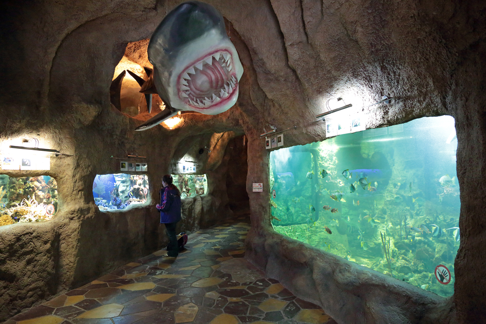 Океанаирум в Сочинской Ривьере