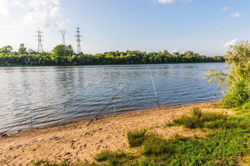 Река Ока - место для рыбалки в Подмосковье
