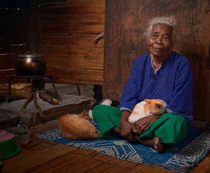 Пожилая женщина с двумя рыжими кошками в хижине