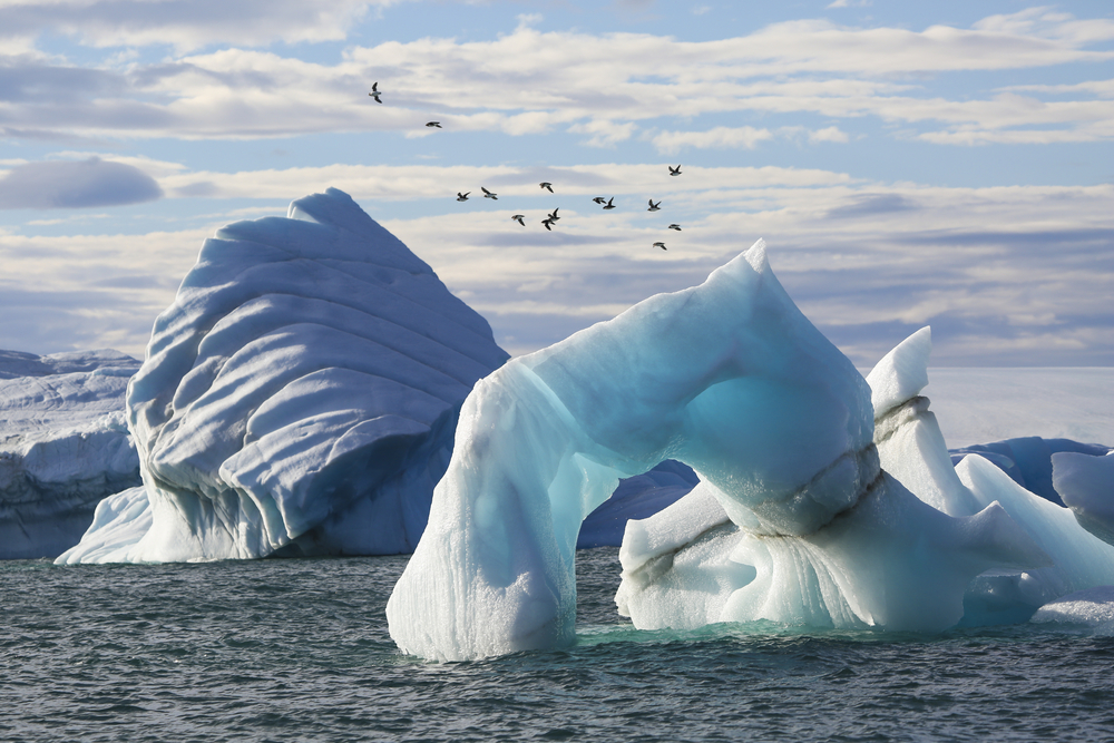 Айсберги рядом с Землей Франца Иосифа