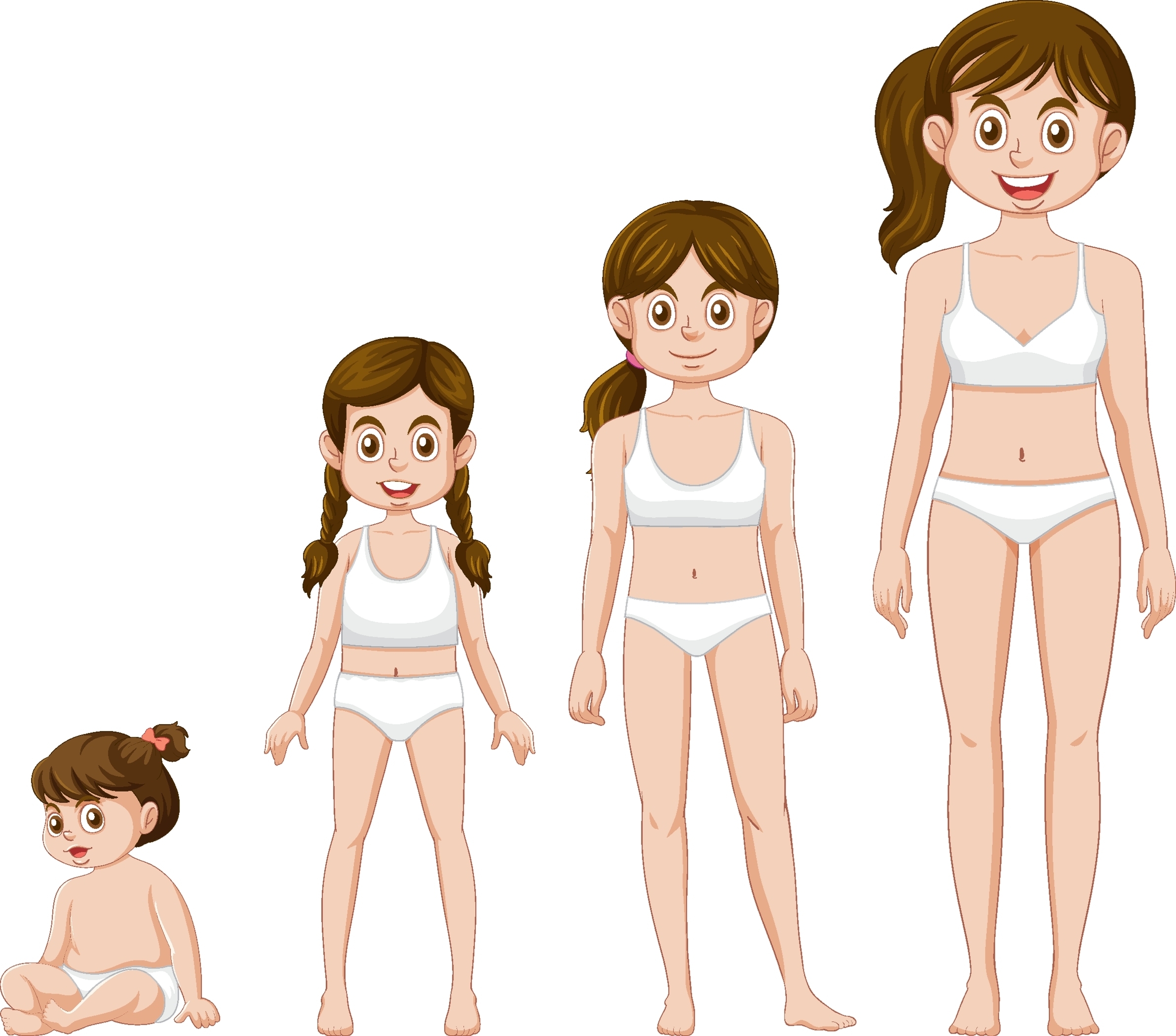 Этапы развития тела у девочек в переходный период