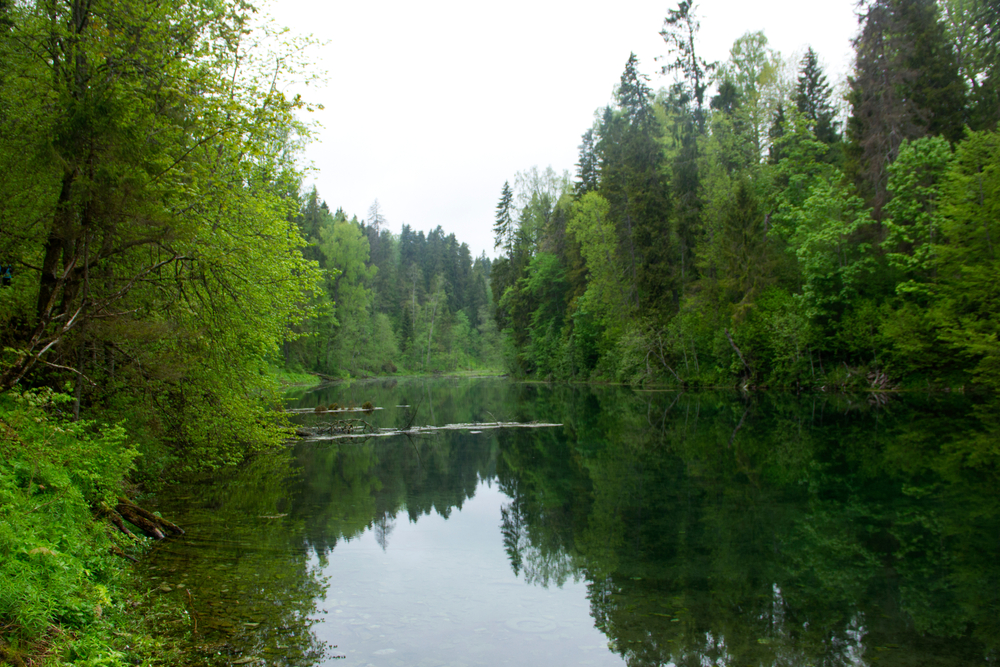 Радоновые озера в Ленобласти