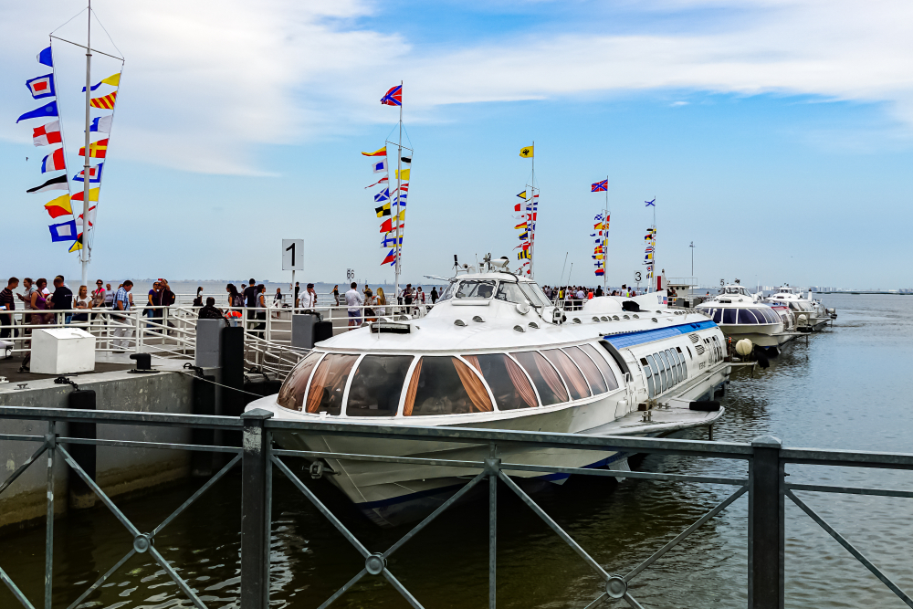 Метеоры, едущие в Петергоф