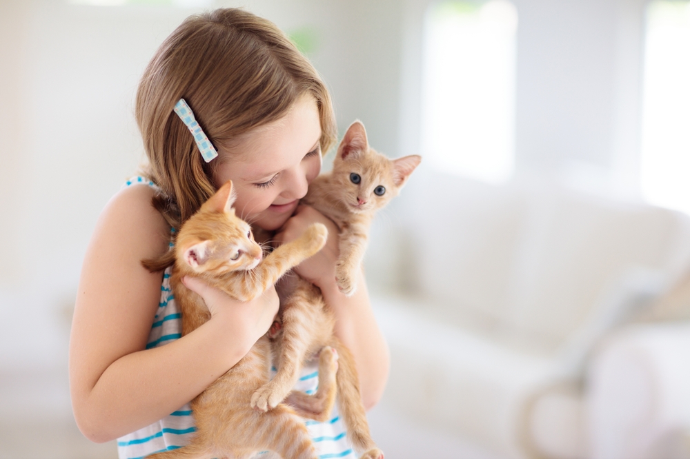 Безопасное общение ребенка с домашним питомцем