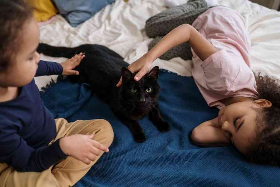 Дети лежат на кровати с черной кошечкой