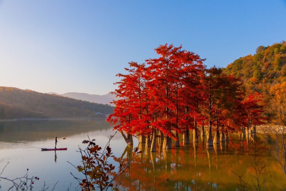 Кипарисовое озеро в Сукко