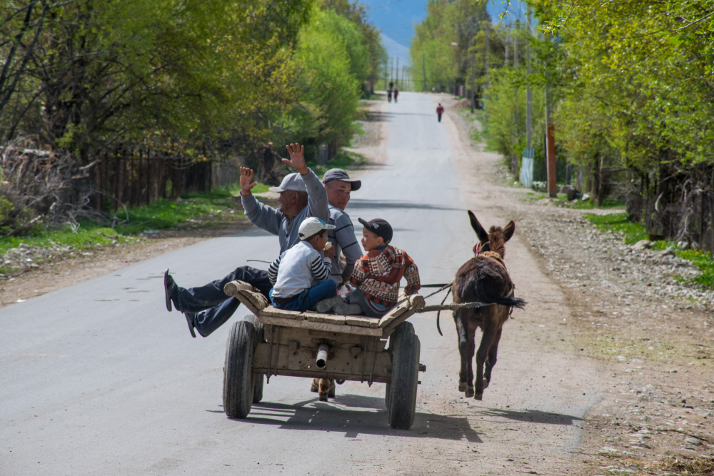 Местные жители едут на ослике в поселке Тамга на озере Иссык-Куль