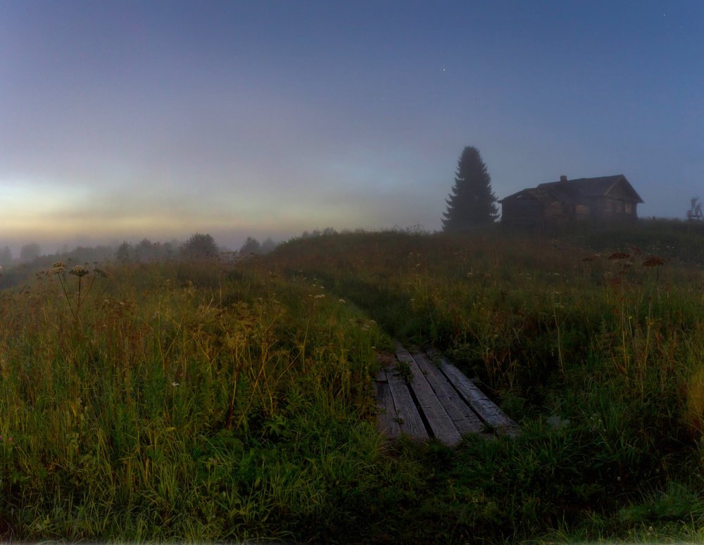 Вепский лес в Ленинградской области