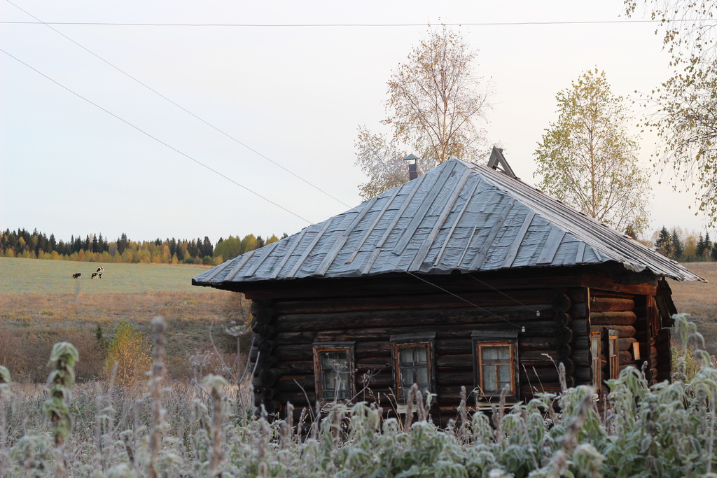 Дома в селе Верх-Яйва
