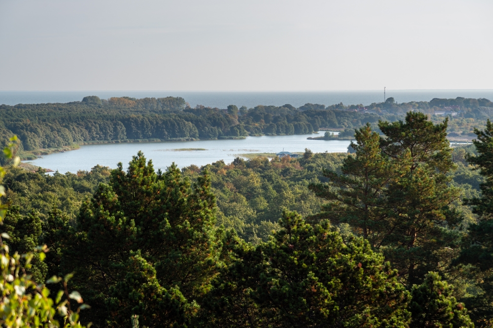 Виды на экотропе Высота Мюллера