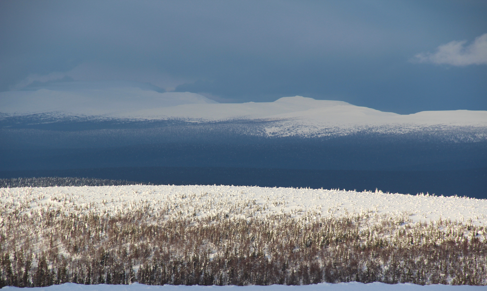 Вид, открывающийся с плато