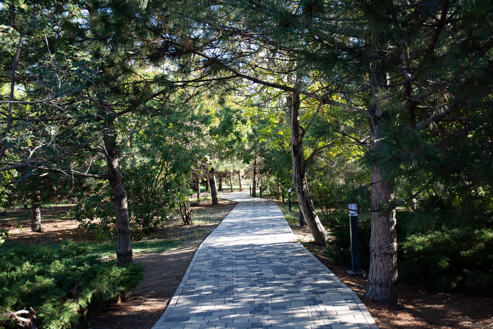 Дорожки в парке Ореховая роща в Анапе