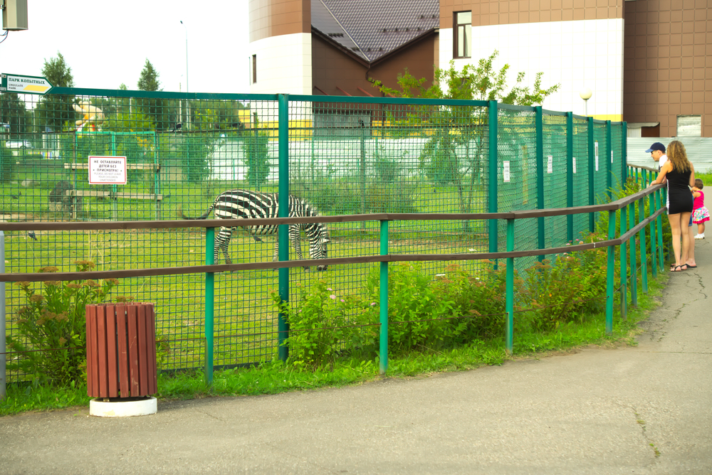 Фото Ярославского зоопарка