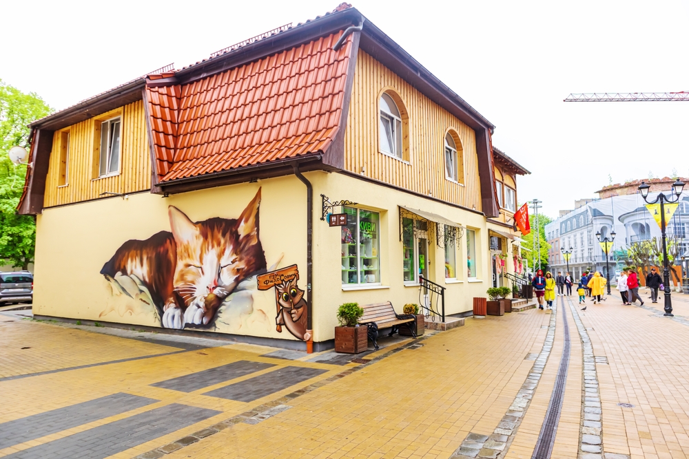 Фото граффити с кошками в Зеленоградске в Калининградской области