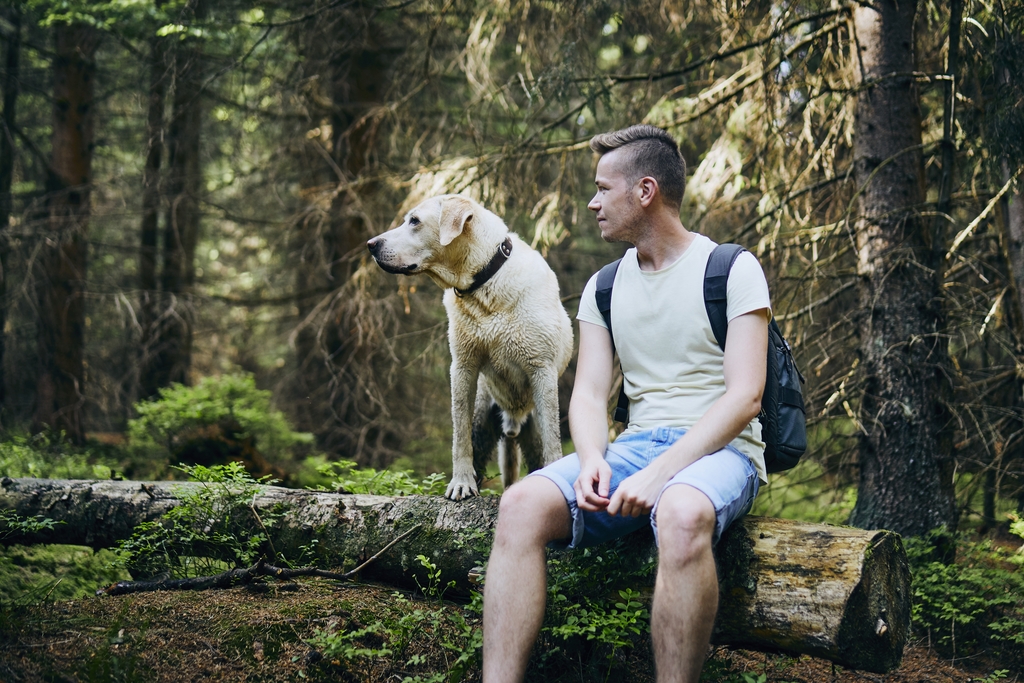 Человек с собакой в лесу Карелии